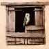 english-country/thumbs/young-owl-2009